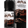 Жидкость SKALA SALT